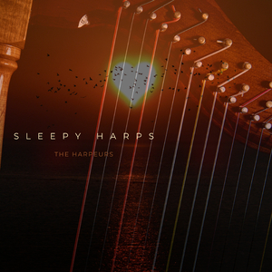 开心播播激情网
